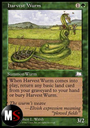 WURM DEI CAMPI