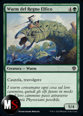 WURM DEL REGNO ELFICO