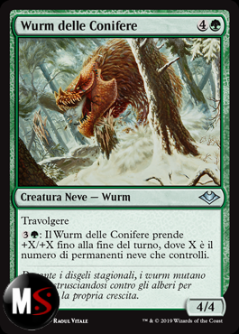 WURM DELLE CONIFERE