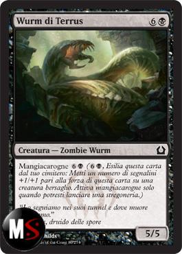 WURM DI TERRUS