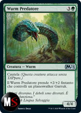 WURM PREDATORE