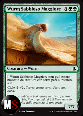 WURM SABBIOSO MAGGIORE