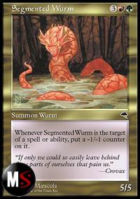 WURM SEGMENTATO