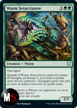 WURM SETACCIATORE