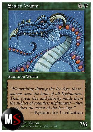 WURM SQUAMATO