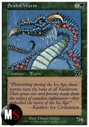 WURM SQUAMATO