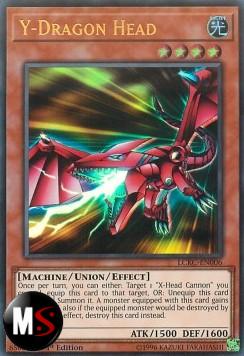 Y-TESTA DRAGO