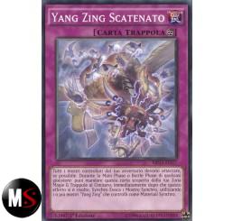 YANG ZING SCATENATO