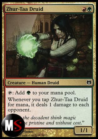 DRUIDO DI ZHUR-TAA